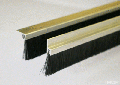 Brosse strip