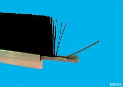 Brosse strip